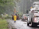 Storm damage fallen trees